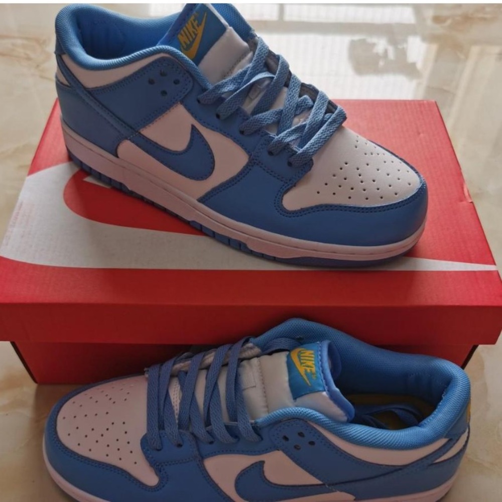 Nike Dunk Low Coast